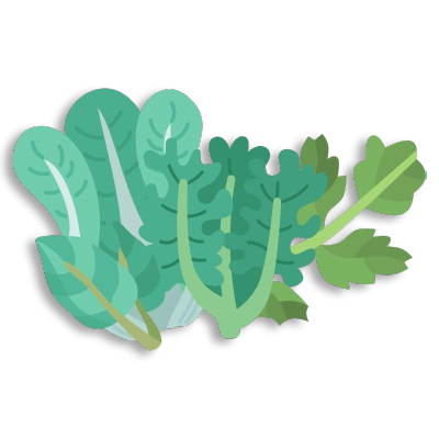 Leafy Green Vegetables - Spinach - Kale - Watercress - Cabbage Graph