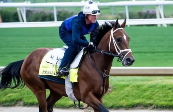 Journalism Horse