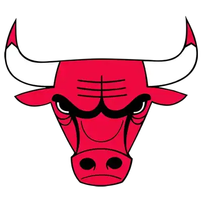 Chicago Bulls Logo