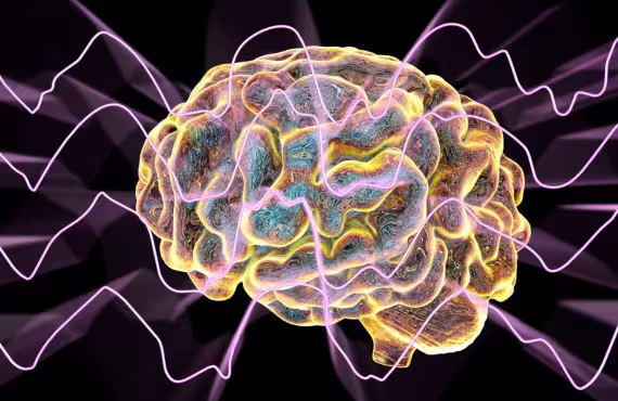 Brain and brain waves during deep sleep